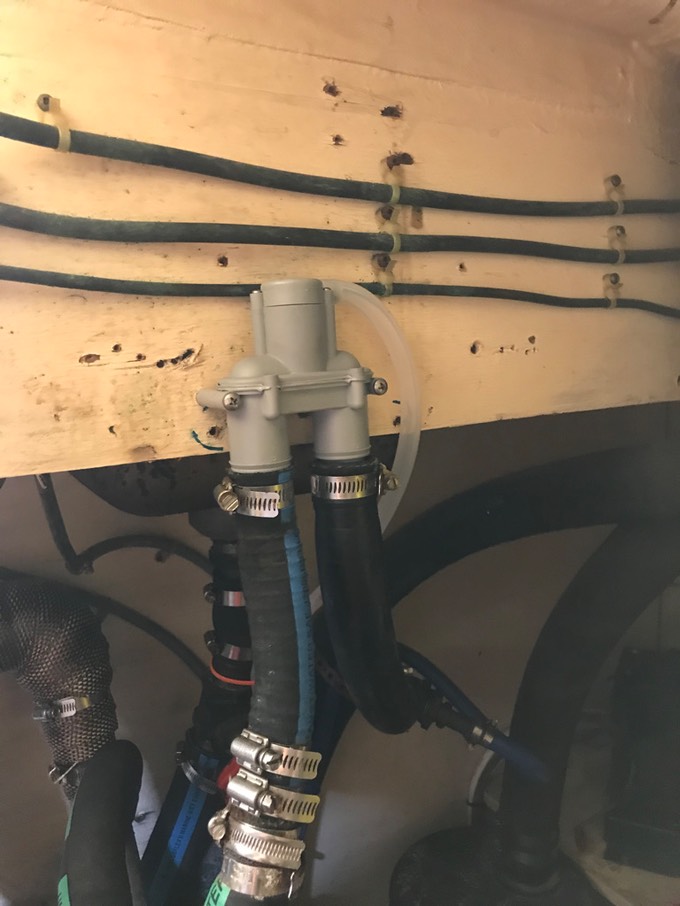 08F70AD1-D43A-4DA9-8A78-D2FC5906C700 1 105 c