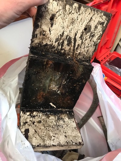 1B7F0986-5884-4E39-9CA1-BC4743A6E373 1 105 c