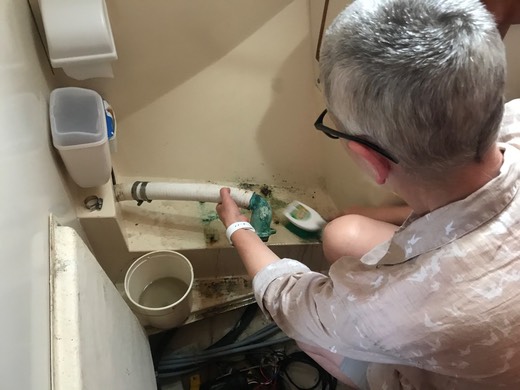 3041D3F7-6142-46EA-92F1-803A5C1B7BEC 1 105 c