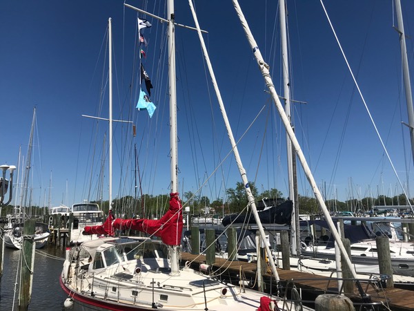 3CCFC4C1-42B3-4D39-8A4A-F2D7475CA68D 1 105 c