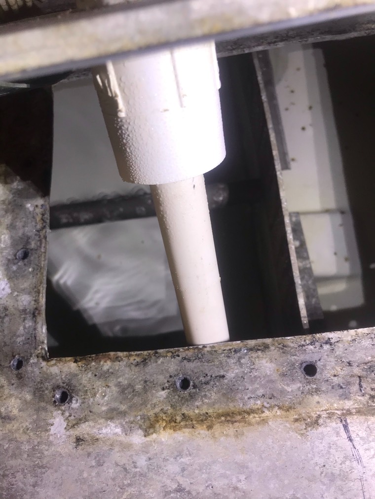 530F38D1-E986-417B-8A45-EBC5C9759F40 1 102 o