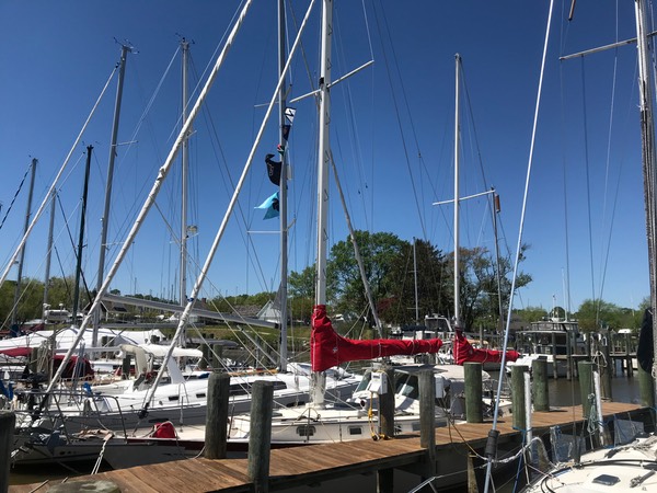 545261FE-9129-4F38-93B8-1F67C995FC45 1 105 c