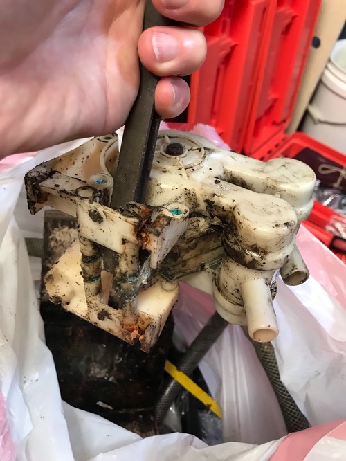 6D20D21C-36B7-4AA4-8811-193F59F071C7 1 105 c