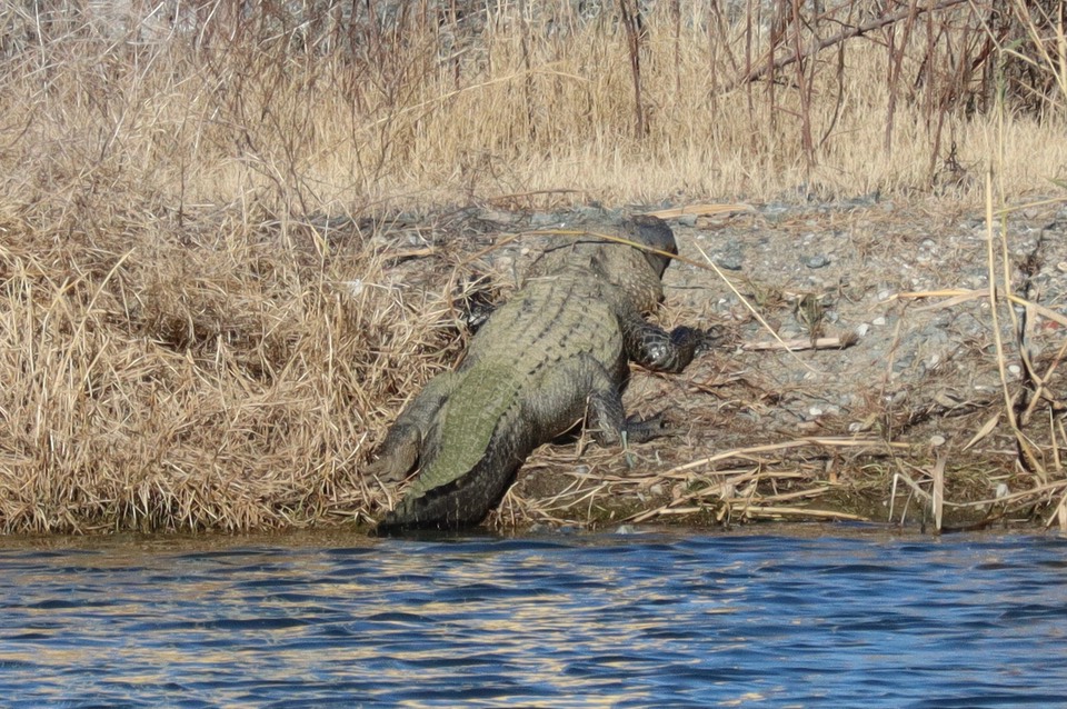 EE800993-57F5-4FD6-A5AC-DCF10D787F92