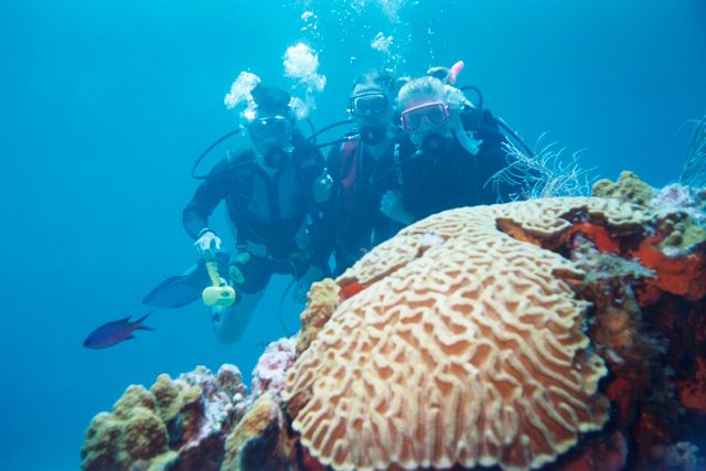 Diving with UBS Dive Center